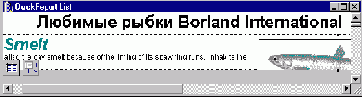 Отображение графических и мемо-полей в отчетах